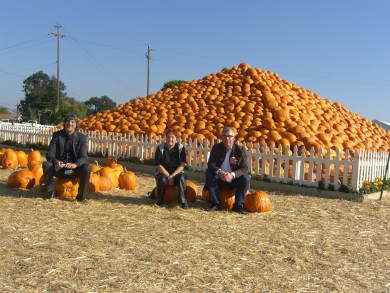 People sitting on pumpkins at Uesugi Farms